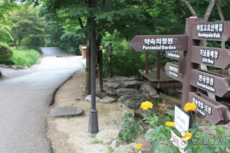 晨静树木园