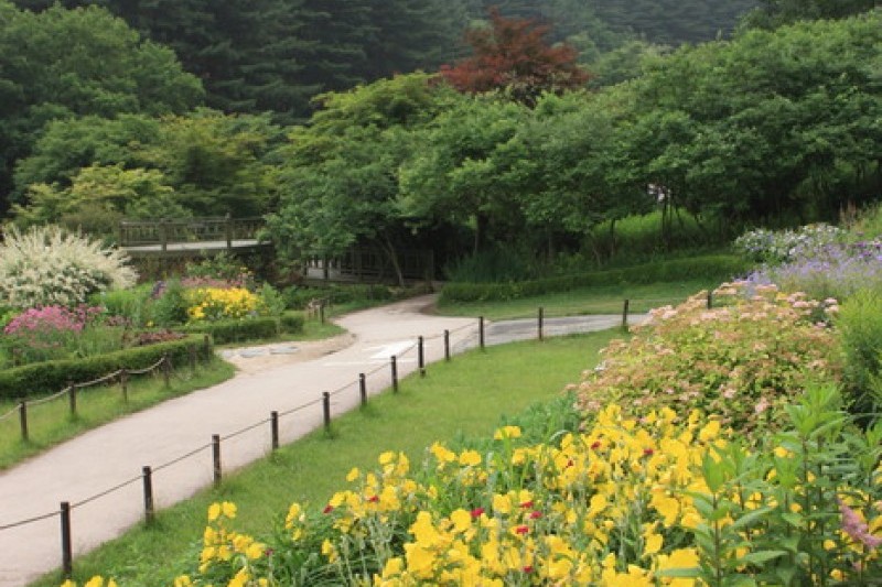 晨静树木园