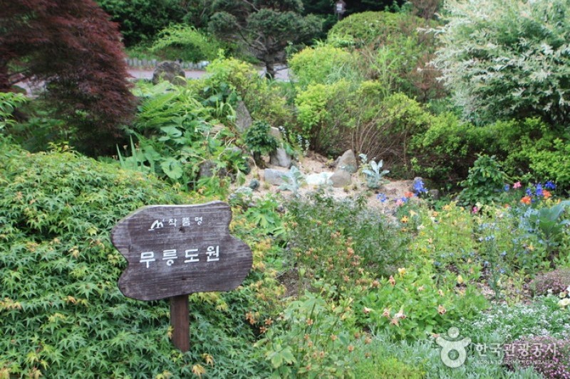 晨静树木园
