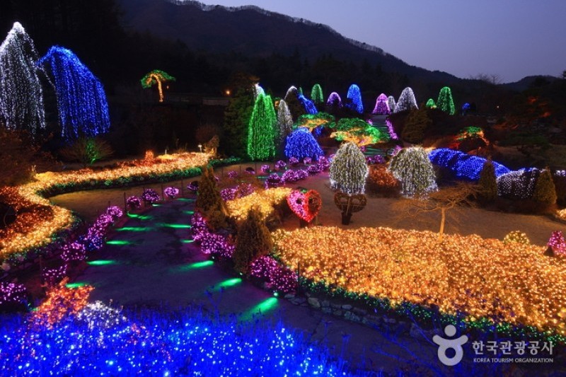 晨静树木园