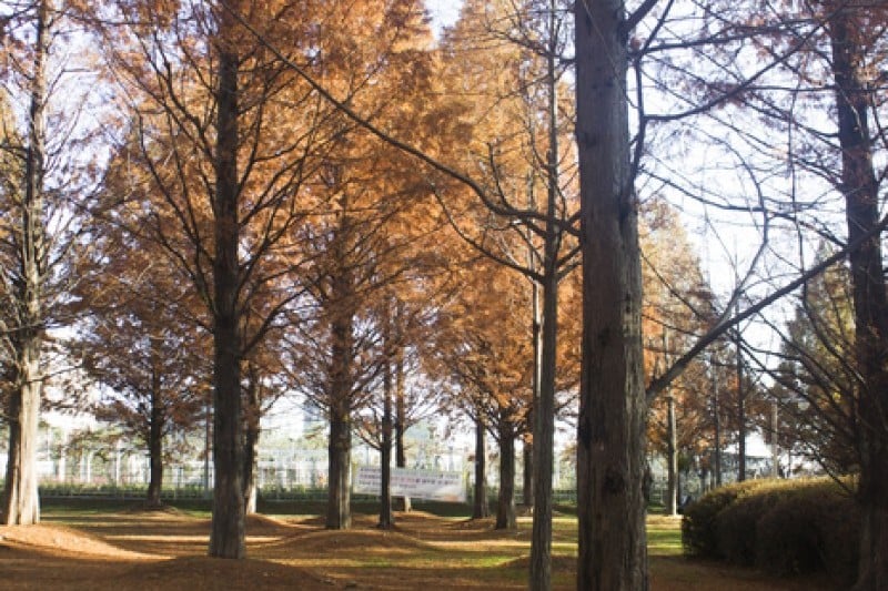 一山湖水公园
