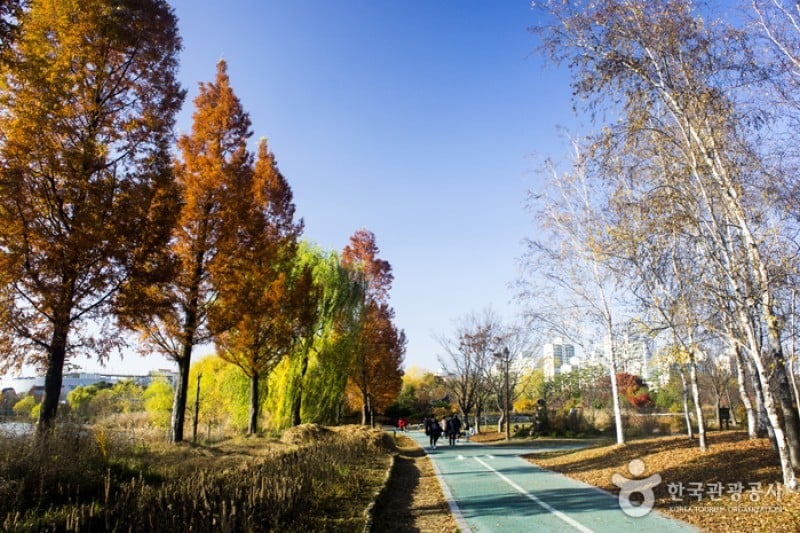 一山湖水公园