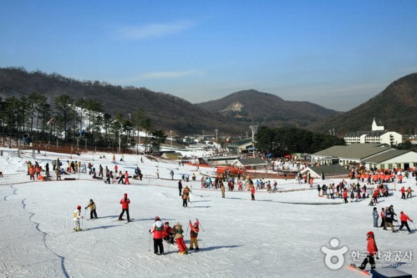 芝山森林度假村滑雪场