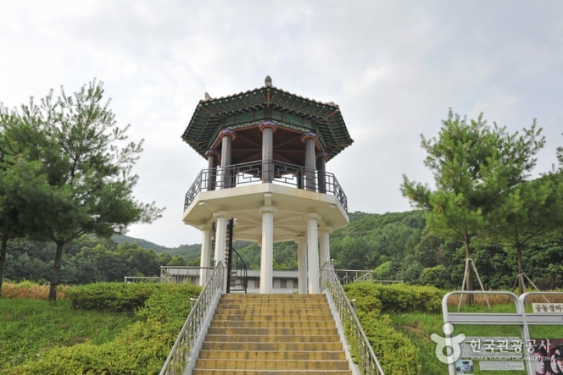 南杨州综合摄影城