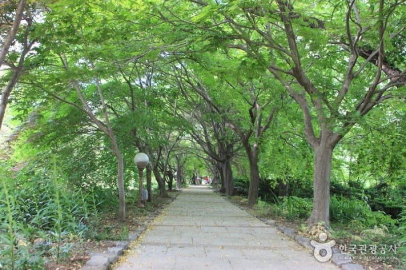 碧草池文化树木园
