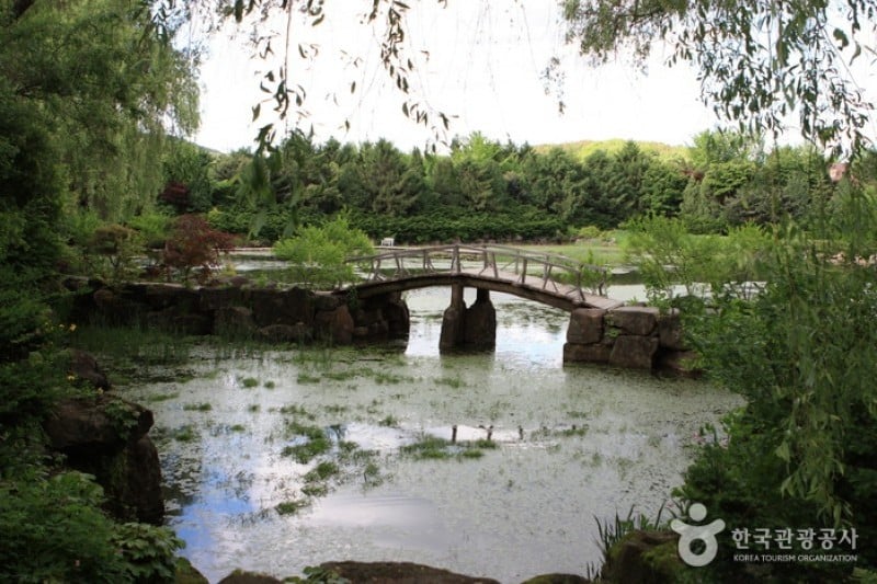 碧草池文化树木园