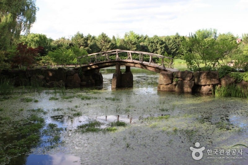 碧草池文化树木园