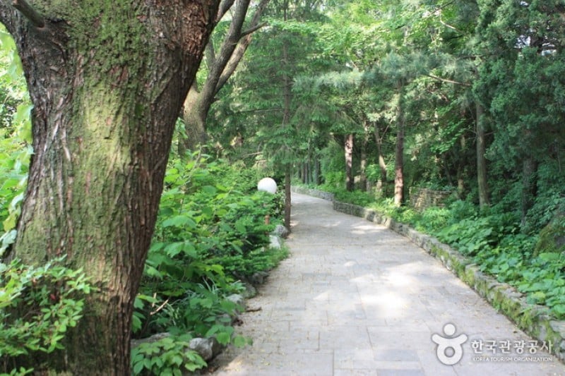 碧草池文化树木园