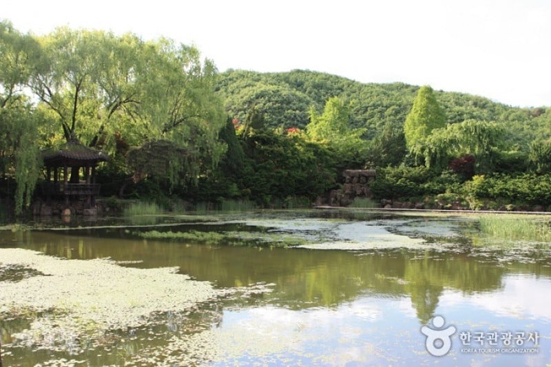 碧草池文化树木园