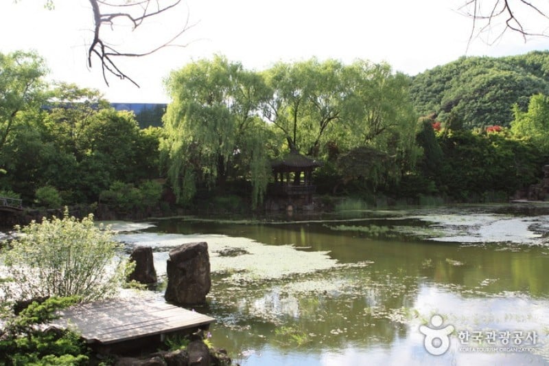 碧草池文化树木园