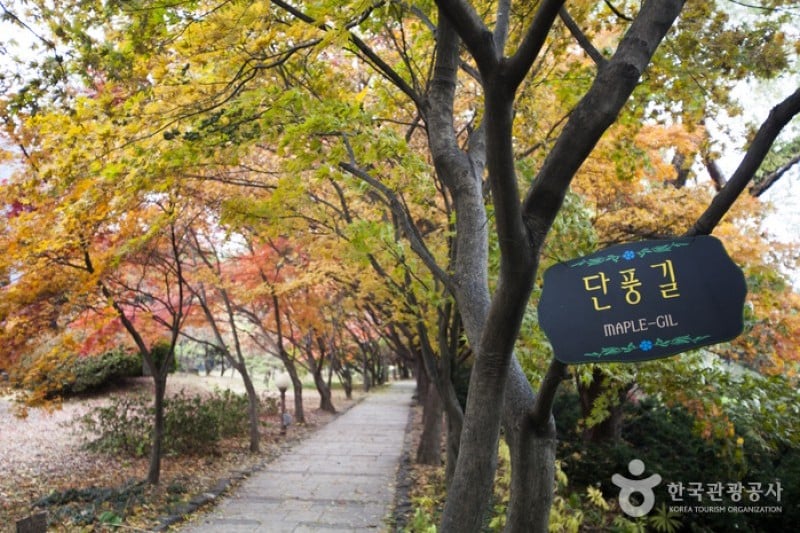 碧草池文化树木园