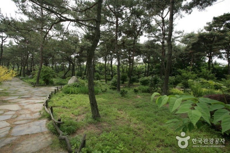 碧草池文化树木园