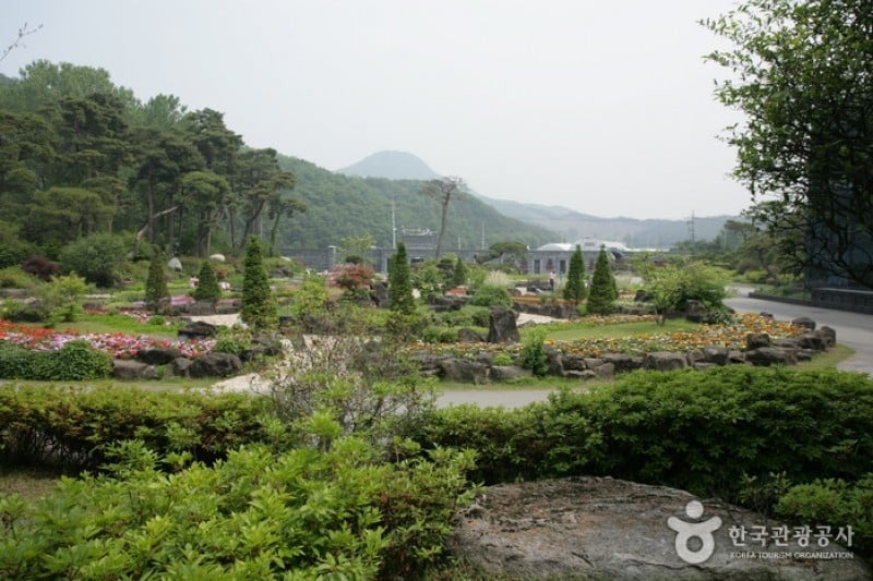 碧草池文化树木园