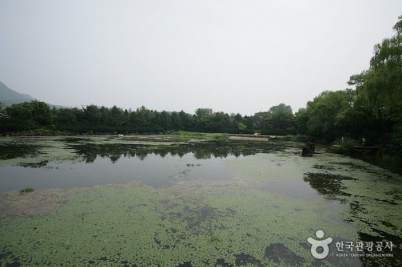 碧草池文化树木园