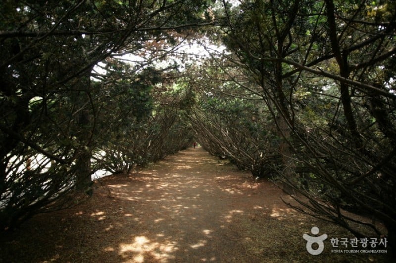 碧草池文化树木园