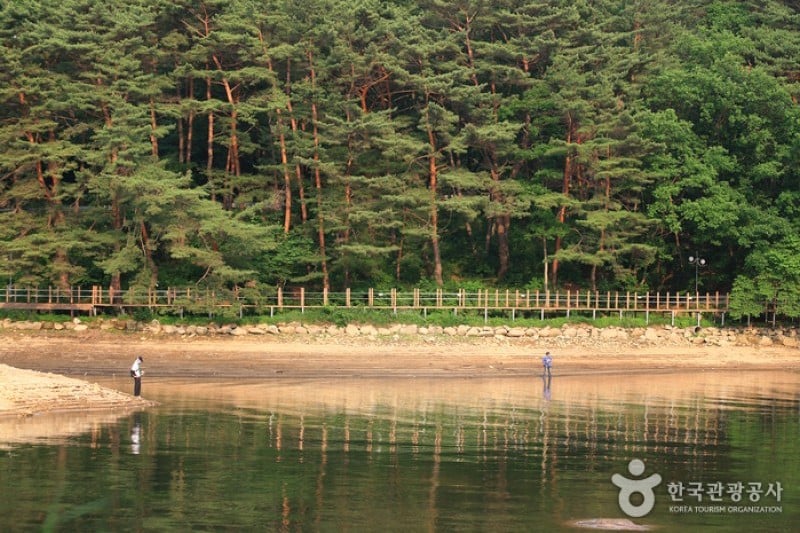 山井湖水