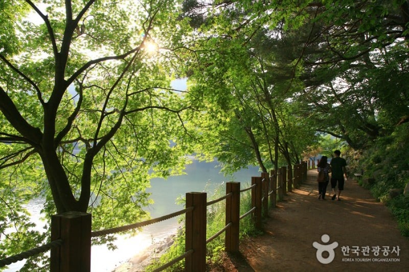 山井湖水