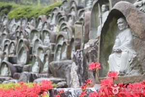 卧牛精舍(龙仁)