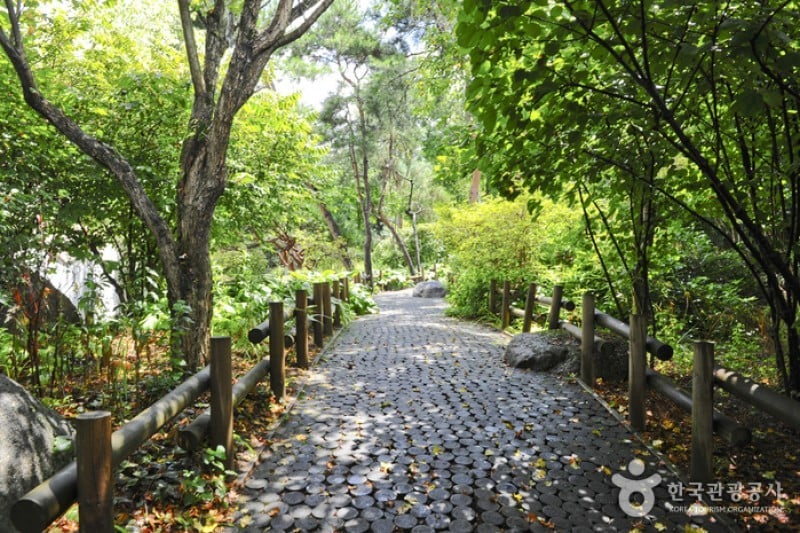 韩宅植物园