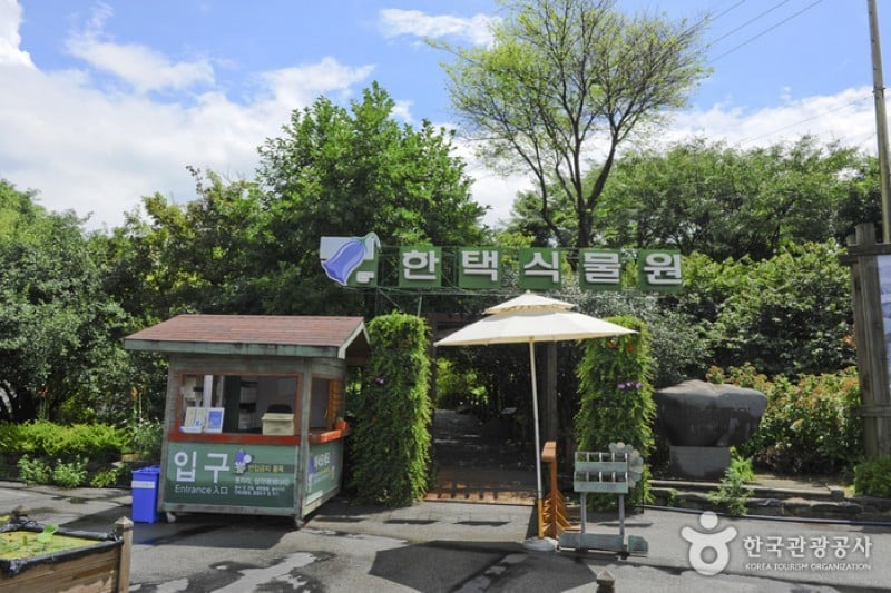 韩宅植物园