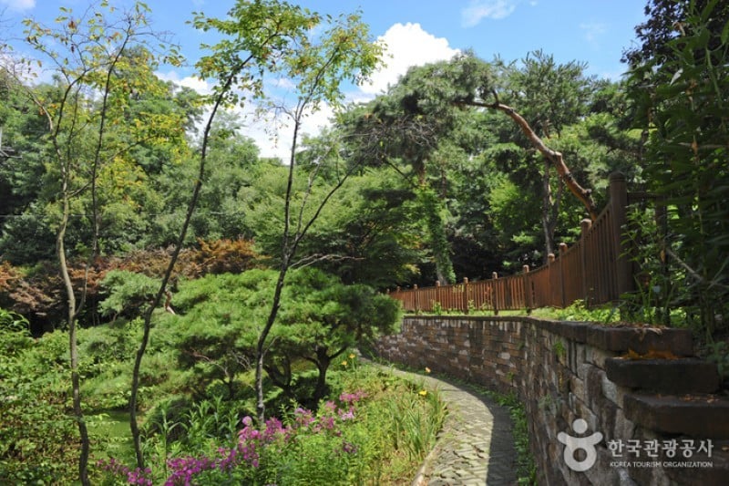 韩宅植物园