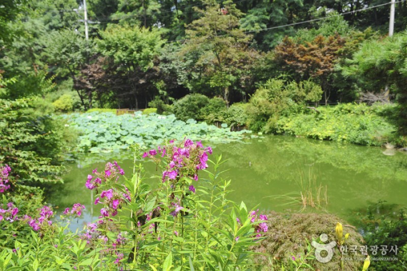 韩宅植物园