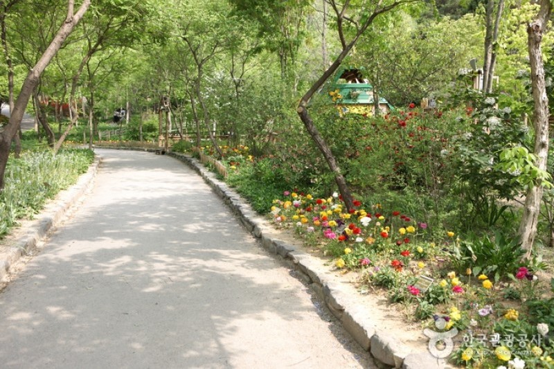 韩宅植物园