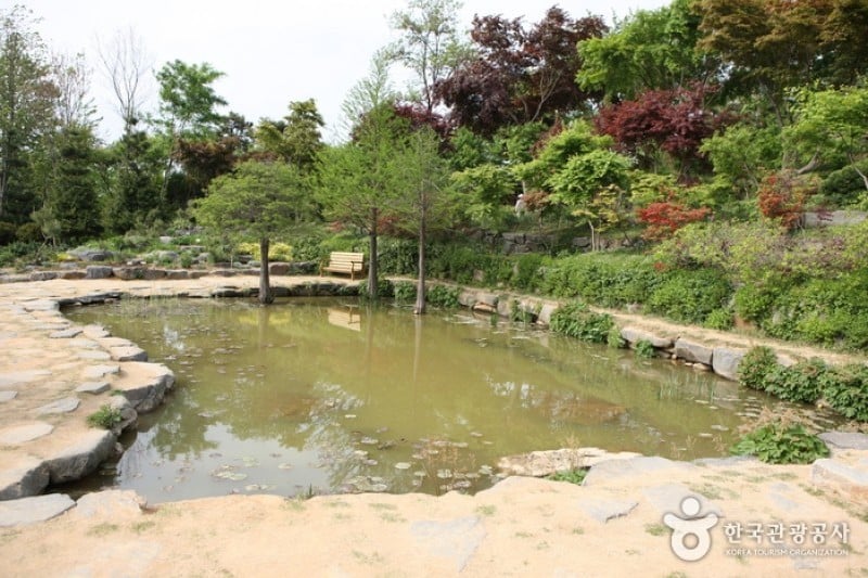 韩宅植物园