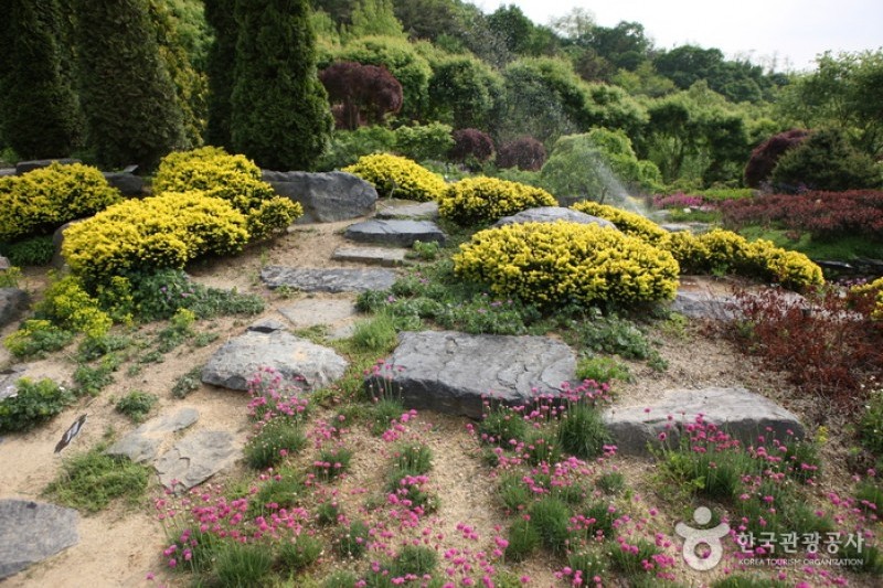 韩宅植物园