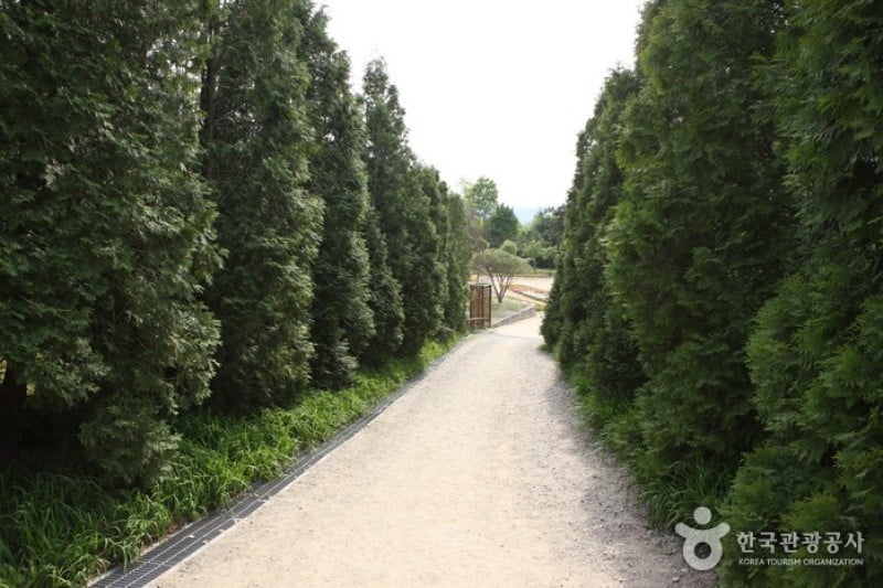 韩宅植物园