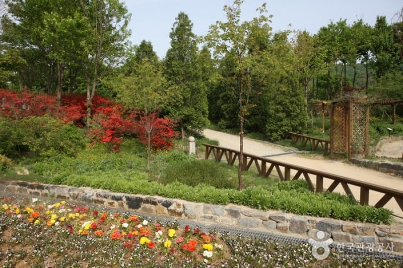 韩宅植物园
