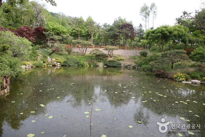 韩宅植物园