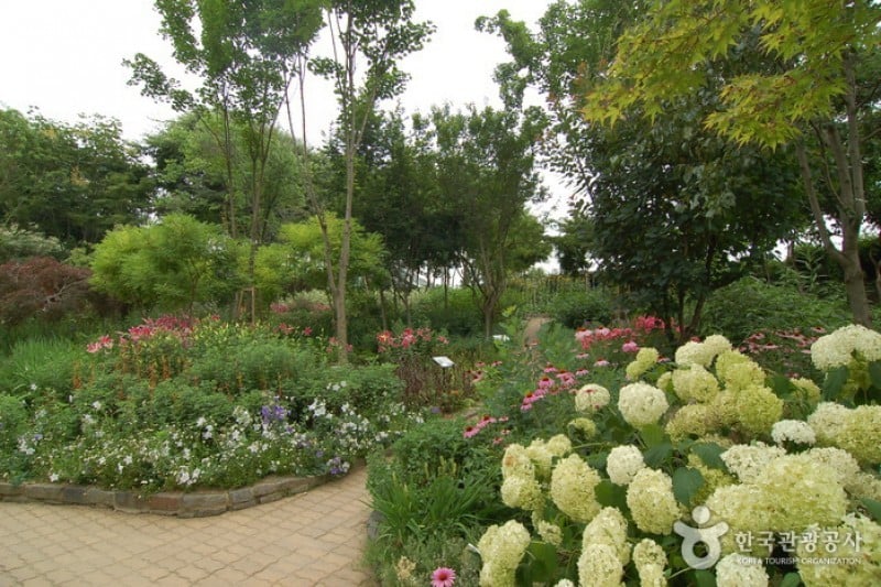 韩宅植物园