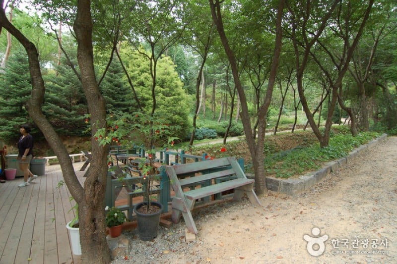 韩宅植物园