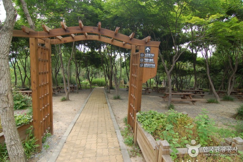 韩宅植物园