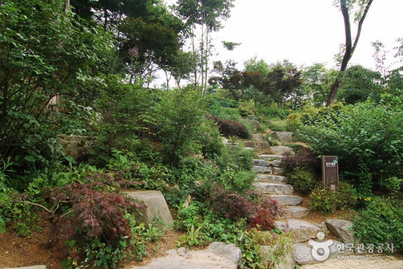 韩宅植物园