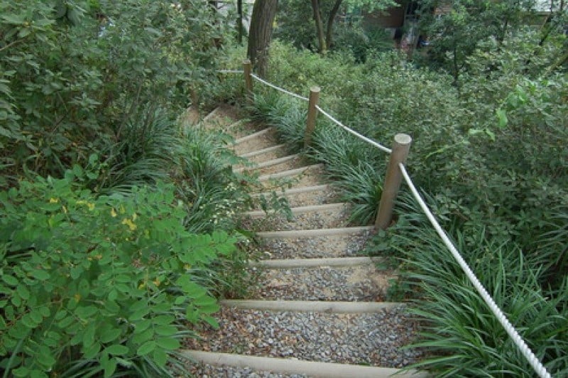 韩宅植物园