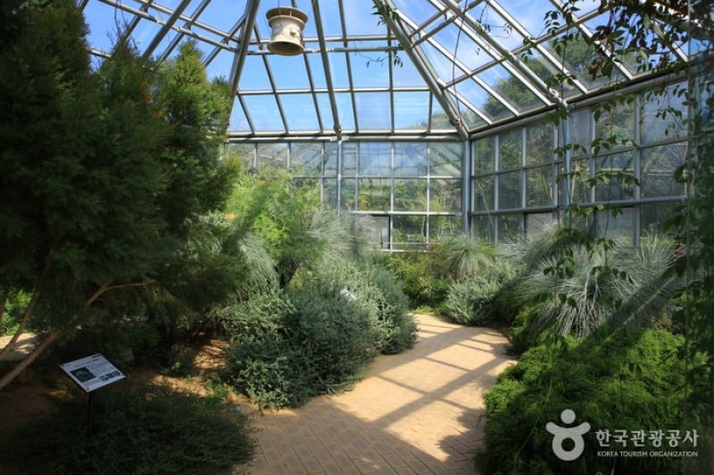 韩宅植物园