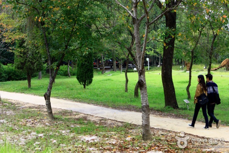 京畿道立水香树木园