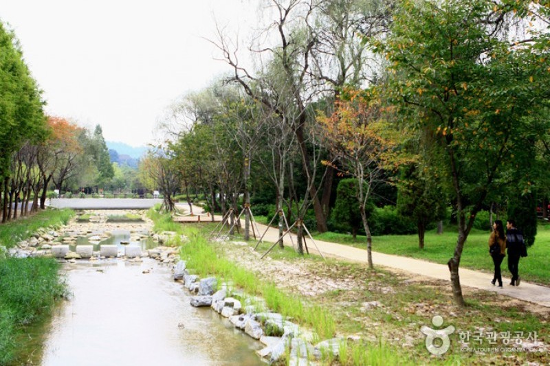 京畿道立水香树木园