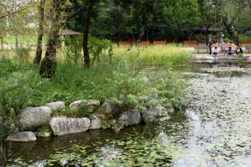 京畿道立水香树木园