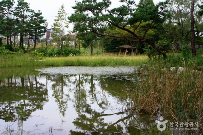 京畿道立水香树木园