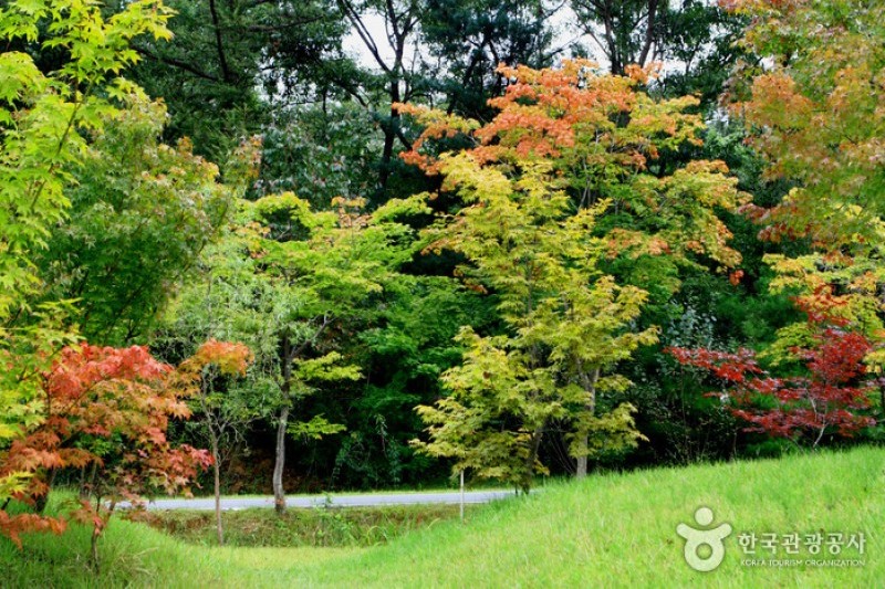 京畿道立水香树木园