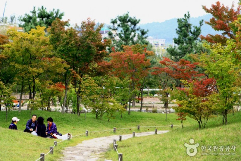 京畿道立水香树木园