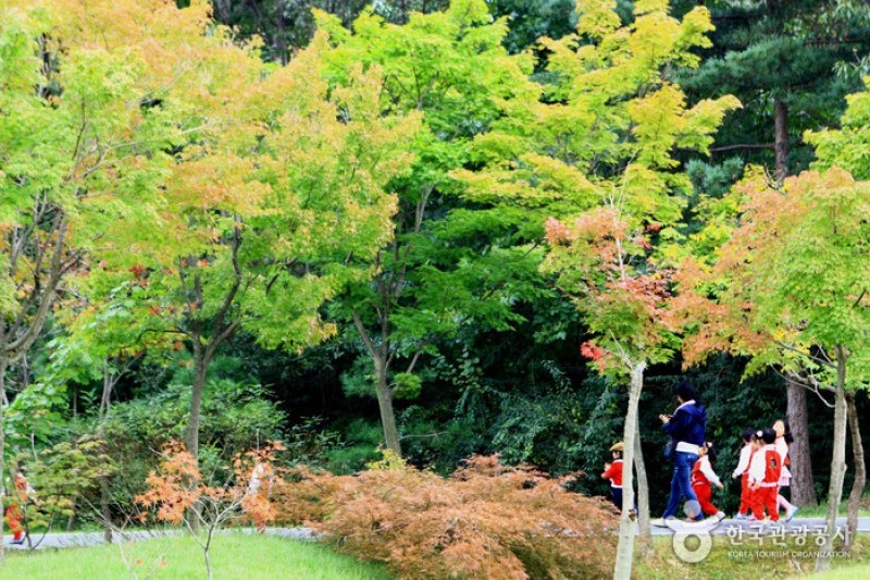 京畿道立水香树木园