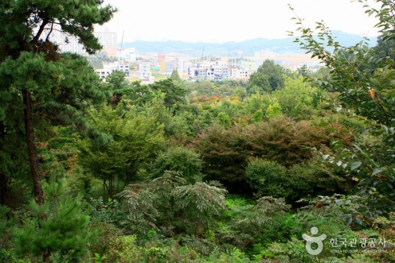 京畿道立水香树木园