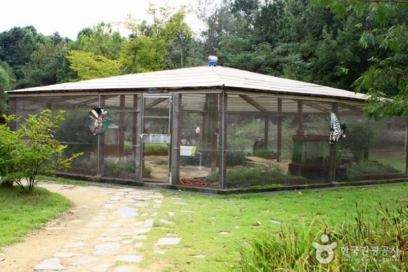 京畿道立水香树木园