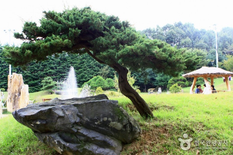 京畿道立水香树木园