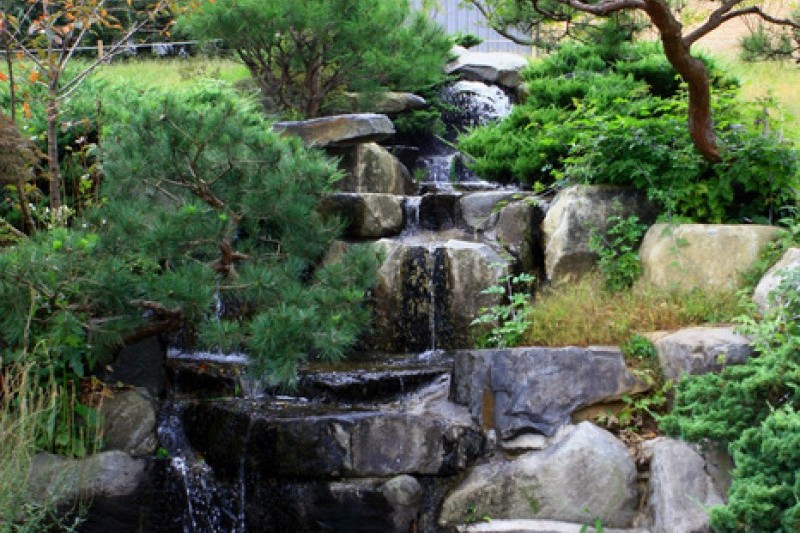 京畿道立水香树木园