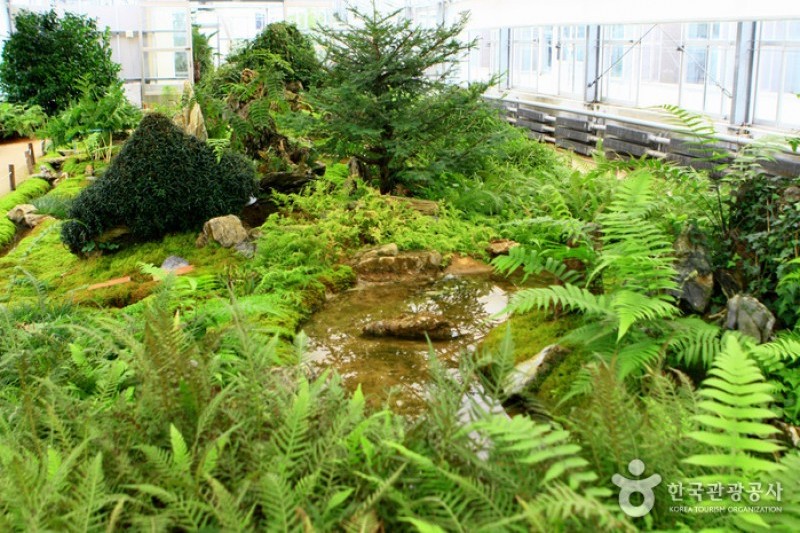 京畿道立水香树木园